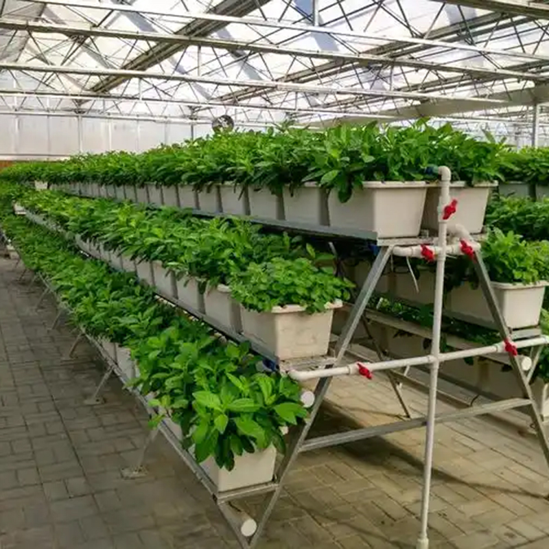 三亚市植物工厂无土栽培 - 方案